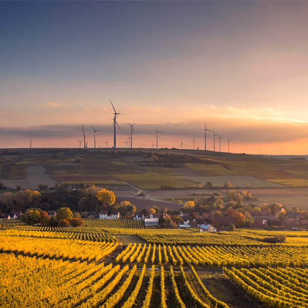 澳大利亚近海发现新天...